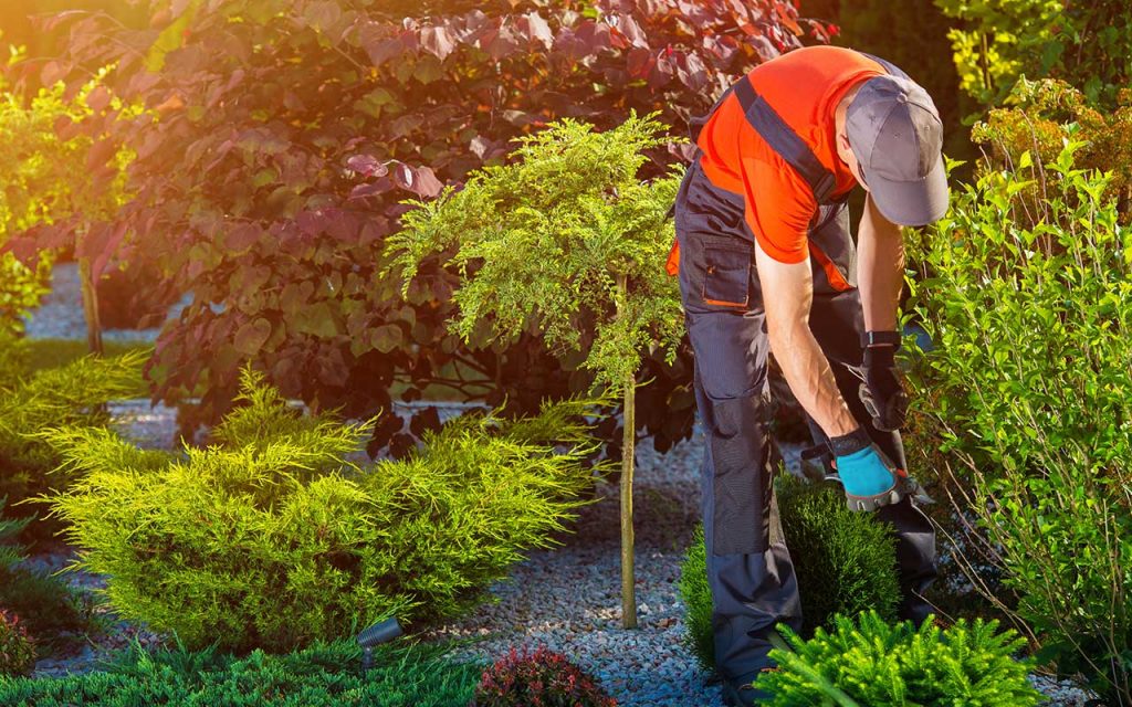 Landscaper working