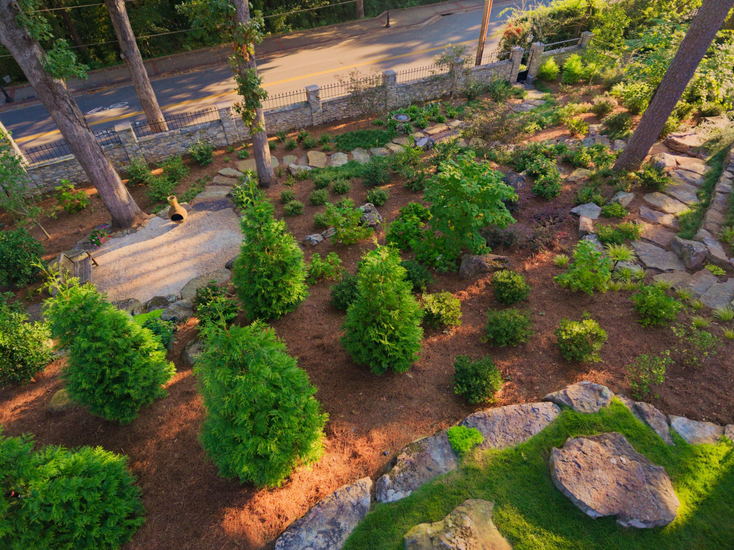 A landscaped garden with young evergreen trees, shrubs, stone paths, large rocks, and a circular gravel seating area, bordered by a stone wall with a road and tall trees in the background, viewed from above.