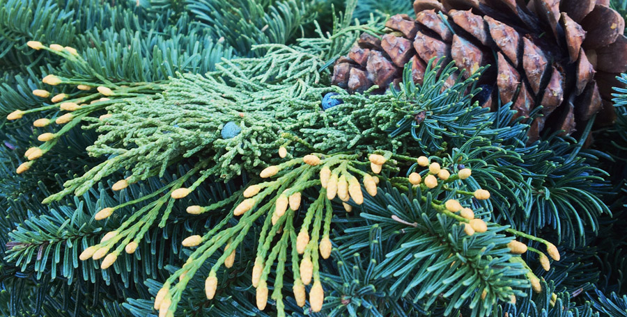 Tips for Keeping Your Christmas Decor Fresh All Season - The Good Earth  Garden Center