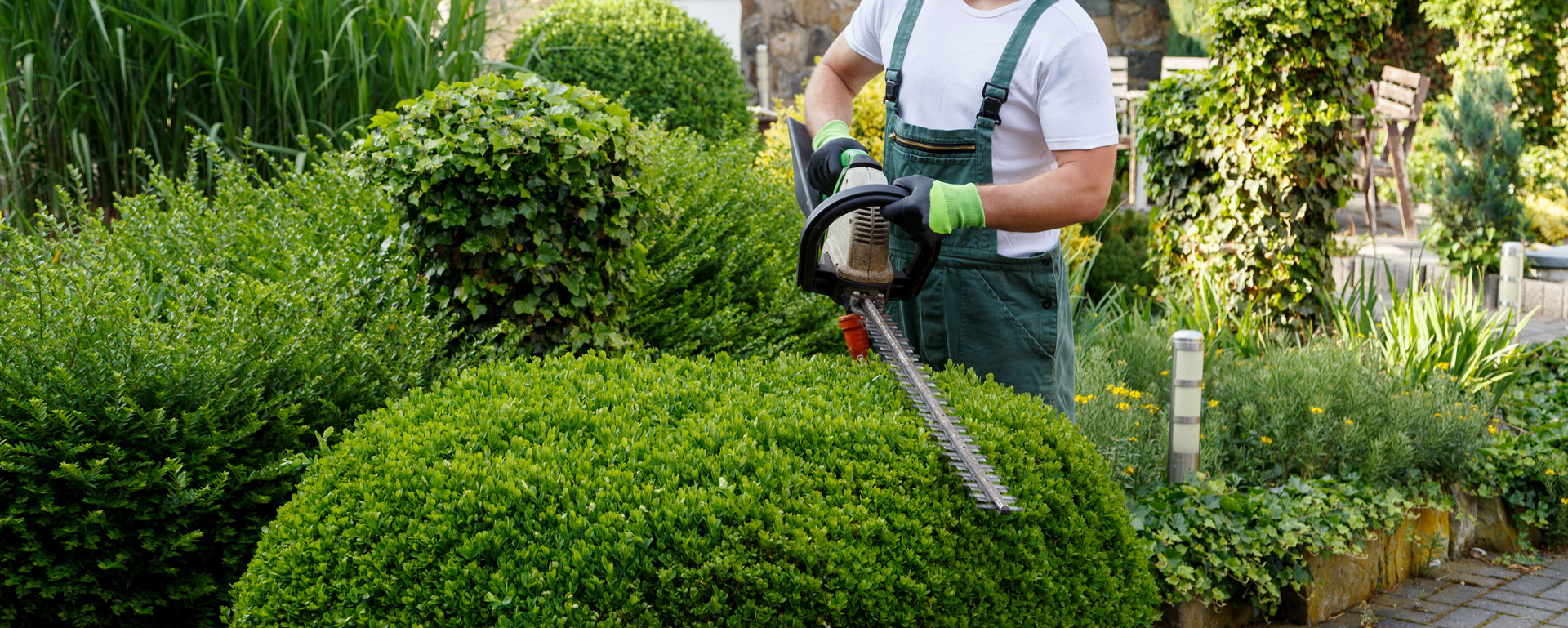 Yard maintenance clearance