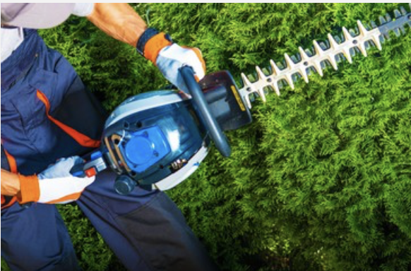 Landscape Maintenance Trimming Hedges