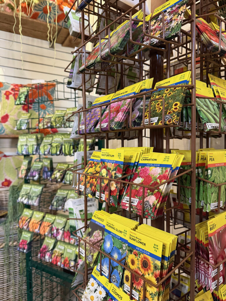 Colorful packets of seeds for vegetables and flowers are displayed on metal racks in a store, making perfect gifts ideas for gardeners. Packaging shows images of sunflowers, peas, and zinnias, with more seed packets hanging on hooks in the background.
