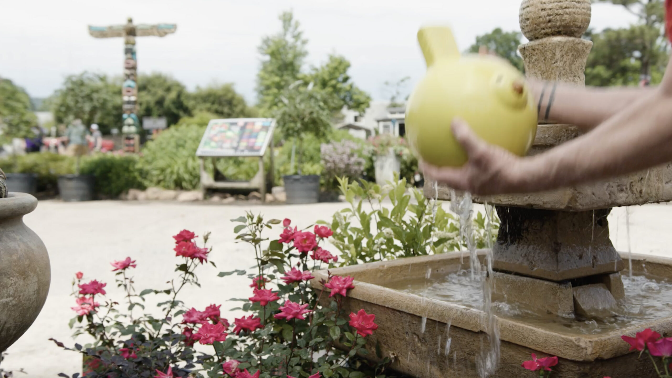 Meet our Good Earth Good Birds! - Good Earth Garden Center
