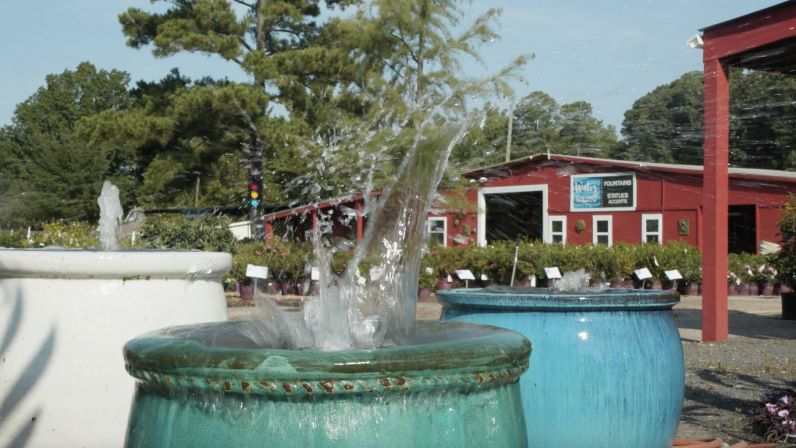 Meet our Good Earth Good Birds! - Good Earth Garden Center