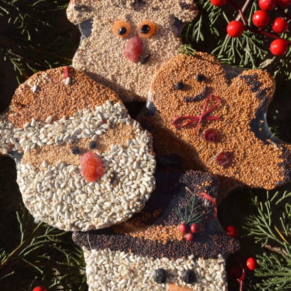 Three birdseed ornaments shaped like a reindeer, snowman, and Santa lay on pine branches with red berries. The ornaments use seeds and dried fruit to create facial features and details.