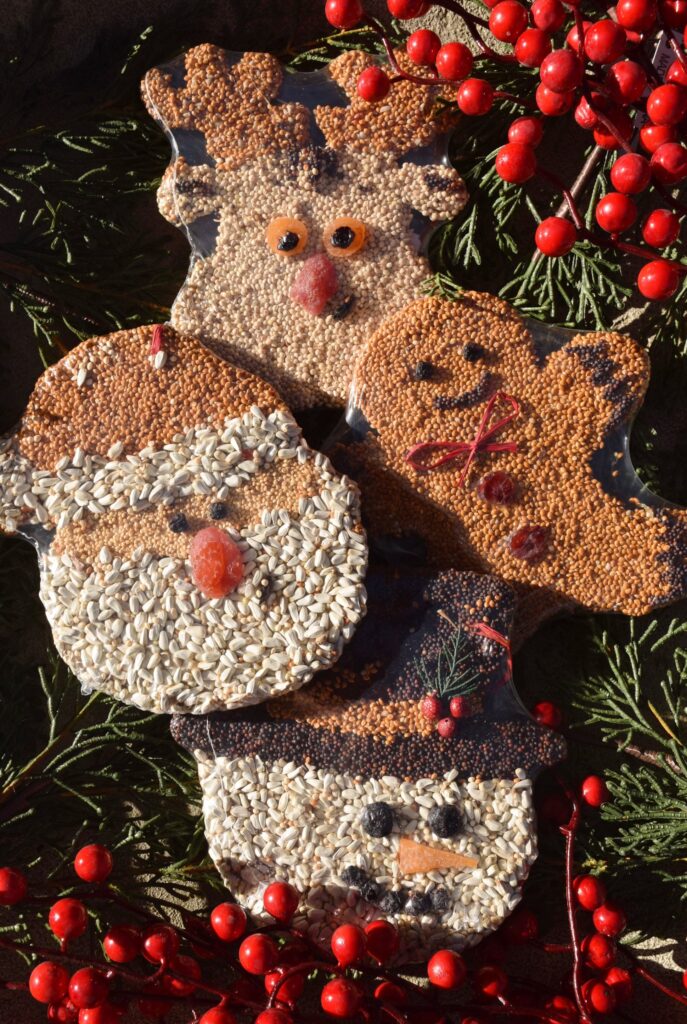 Three birdseed ornaments shaped like a reindeer, snowman, and Santa lay on pine branches with red berries. The ornaments use seeds and dried fruit to create facial features and details.
