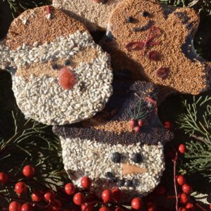 Three birdseed ornaments shaped like a snowman, Santa Claus, and a gingerbread person rest on green pine branches with red berries—festive treats available at our gift shop, decorated with seeds and natural elements for faces and hats.
