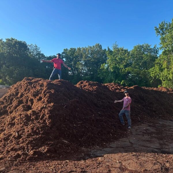 Two people stand on a large pile of landscaping materials outdoors; one is at the top with arms outstretched, and the other stands lower on the pile, both surrounded by trees and plants for landscaping under a clear blue sky, showing where to buy landscaping materials in little rock