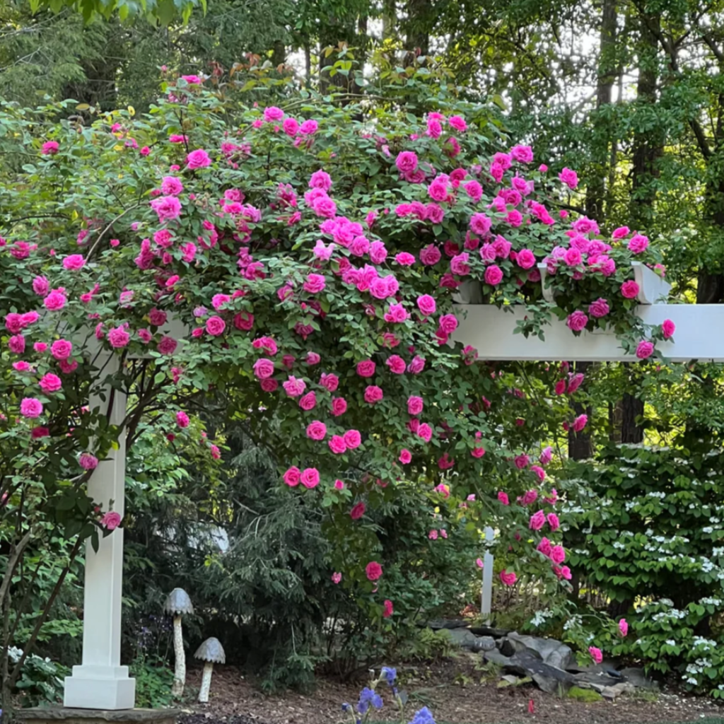 A white garden arbor is covered with abundant pink roses in full bloom, surrounded by lush greenery and trees. Decorative mushroom ornaments are visible at the base of the arbor.