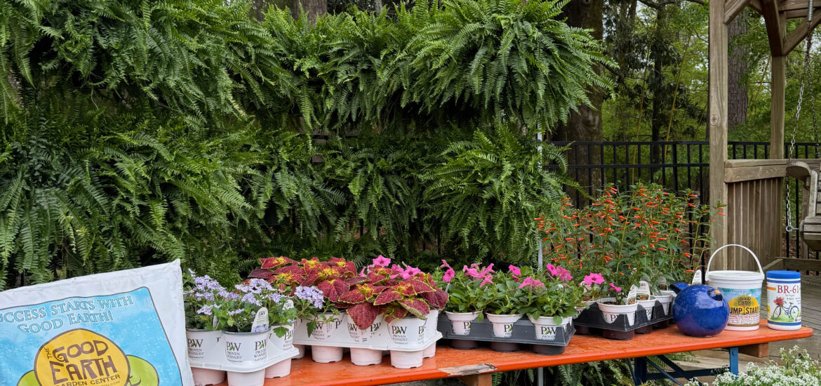 The Dirt on Proven Winner Plants