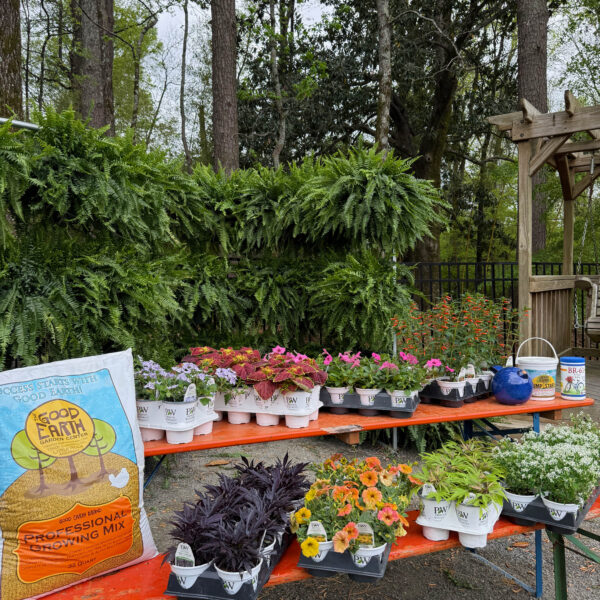 A picnic table outdoors displays colorful potted flowers and plants for sale, with a large bag of potting mix, a blue watering can, and trees and greenery in the background.