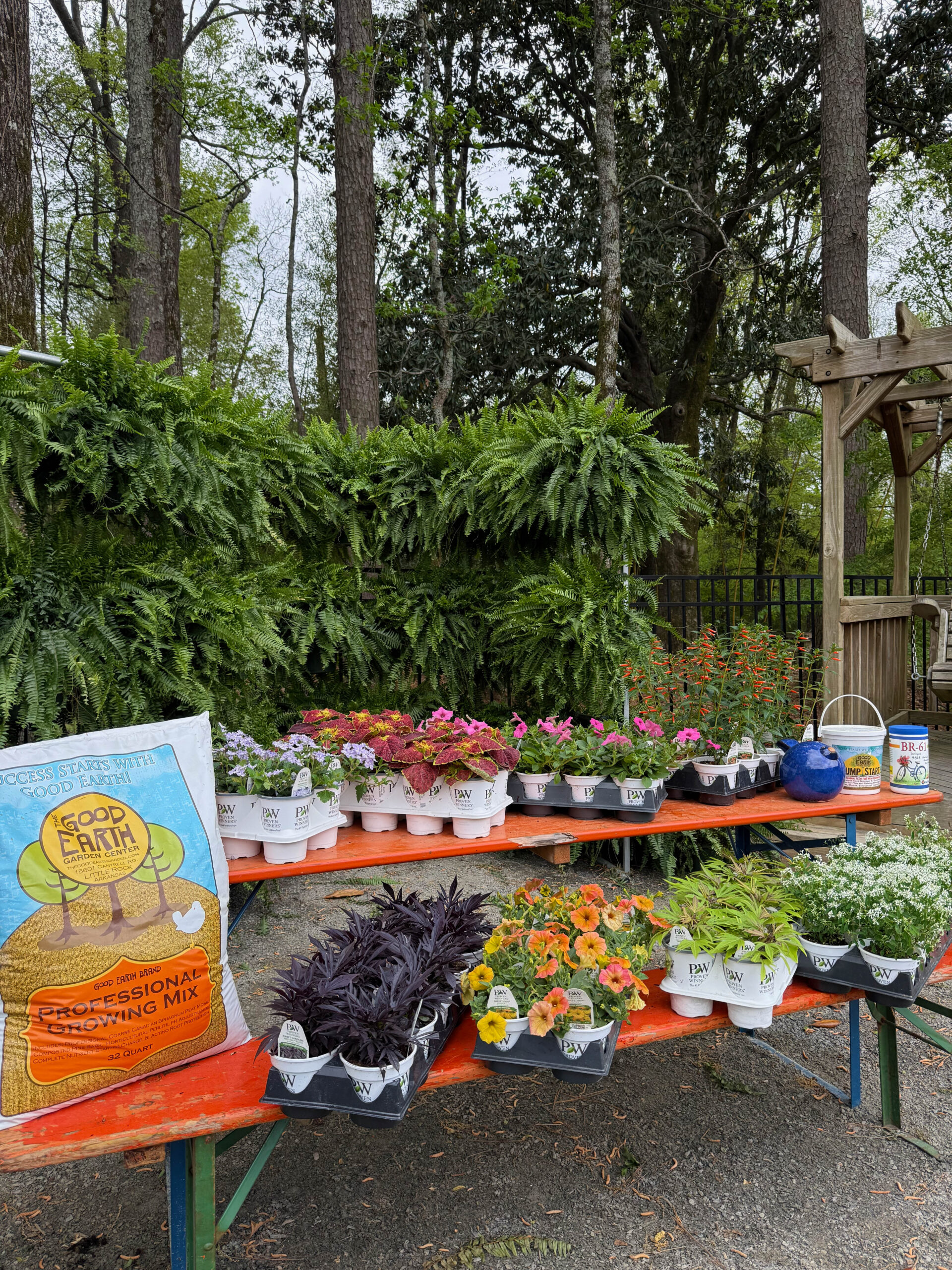A picnic table outdoors displays colorful potted flowers and plants for sale, with a large bag of potting mix, a blue watering can, and trees and greenery in the background.