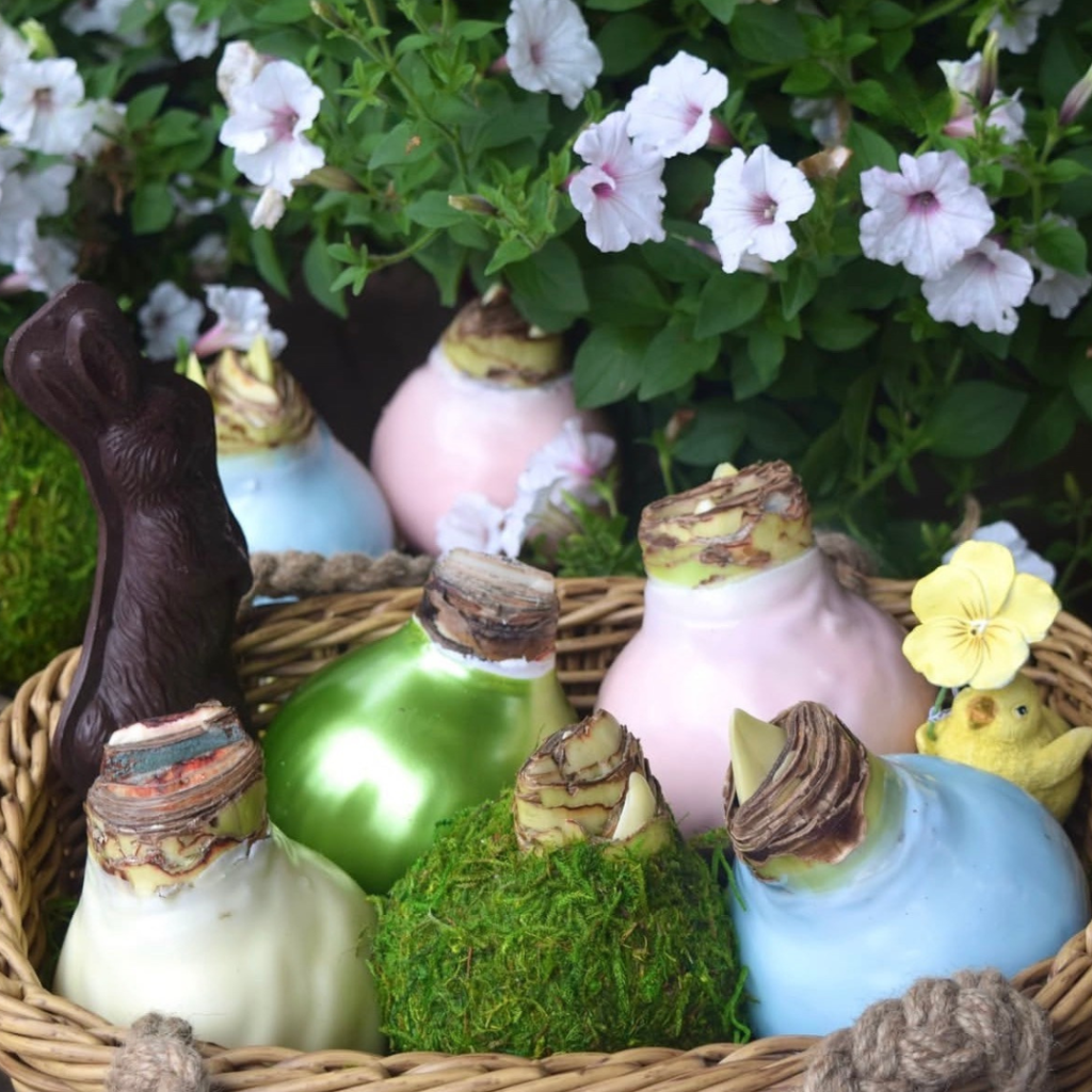 A wicker basket from a charming gift shop holds colorful chocolate-dipped bulbs, a chocolate bunny, a mossy ball, and a small yellow bird. White flowers and green leaves surround the basket, creating a spring or Easter-themed scene.