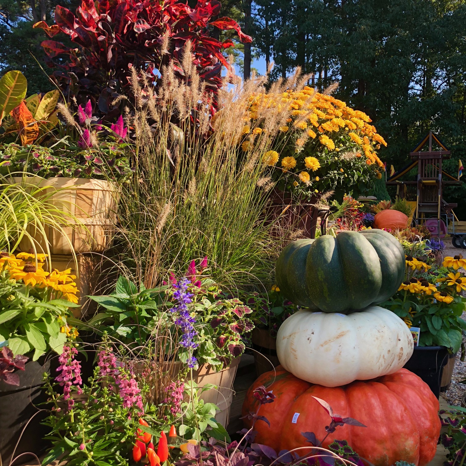 Three stacked pumpkins—orange, white, and green—surrounded by colorful flowers, grasses, and foliage. A wooden playset is visible in the background, suggesting a lively autumn garden scene.