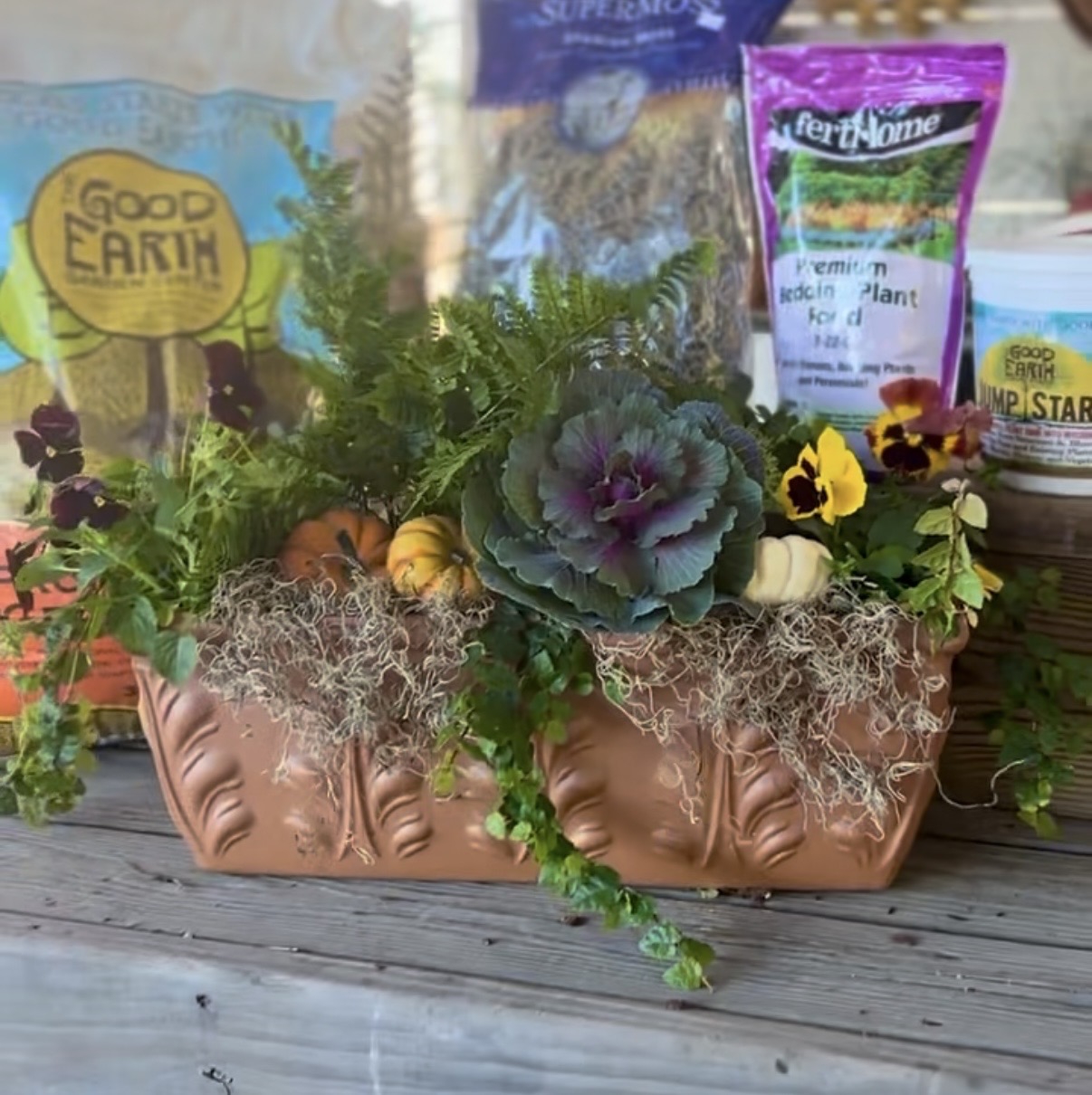 A rectangular terracotta-colored planter filled with a fern, flowering kale, pansies, and small pumpkins, with bags of fertilizer and garden soil in the background.